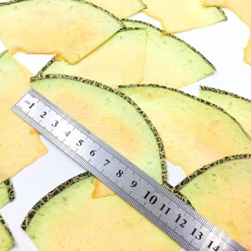 5pcs Dried Pressed Mini Fruit Hami melon Slices Plant Herbarium For Jewelry Photo Frame Phone Case Bookmark Making DIY