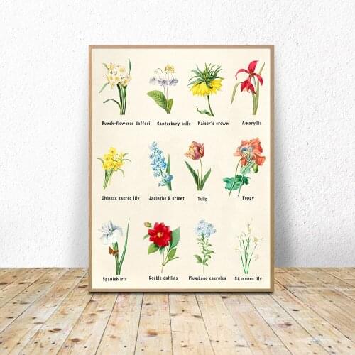 Art Decoration Botanical Chart Wall Art Poster Prints Herbs and Spices Painting Picture Herbarium Vintage Wild poster