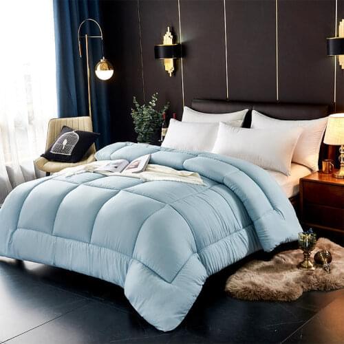 Thickened Warm Spring Autumn Quilt Feather Velvet Winter Cover Summer Quilt Skin-friendly Fabric Comforter Household Bedding