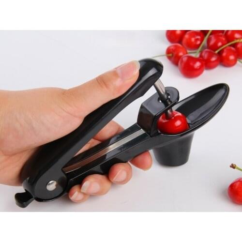 Cy Stainless Steel Corer Tool Seed Remover Pitter Dig Fruit Coring Knife Free Shipping