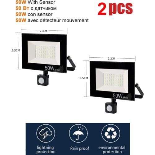 2 pcs 220V 10-100W LED FloodLight Spotlight Exterior Street wall reflector LED Light lighting of garden security lamp spotlights