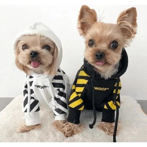 2021 New Pattern Fashion Dog Wei Clothing Fashion Brand Sweater Teddy French Bulldog Small and Medium Dog Clothing Cat Clothing