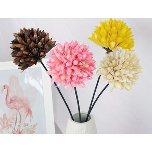 1pcs natural handmade dried flowers Magnolia DIY Mariage home Aesthetic living room decoration flower arrangement Craft