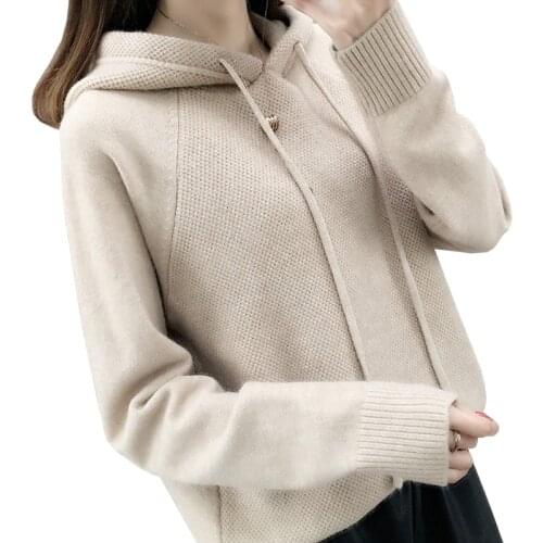 Hooded Sweater Women Autumn Sweater Sueter Mujer Invierno 2020 New Loose All Match Solid Tops Bottoming Knitwear Pull Femme
