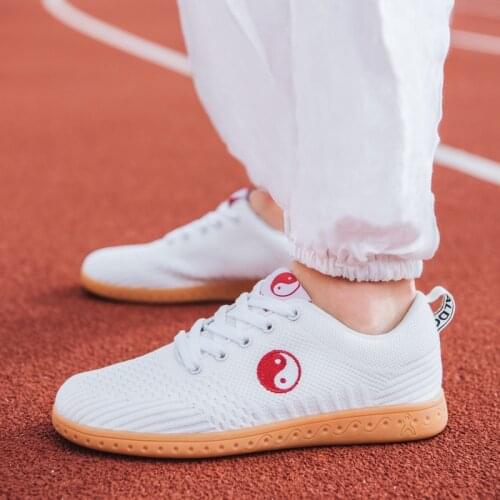 Mesh Taichi Shoes Martial Art Shoes Taiji Shoes for Taichi Karate Taekwondo Wushu Training Shoes