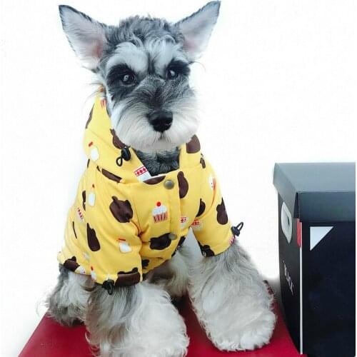 Lovely Dog Clothes for Small Medium Dogs Cute Bear Print Dog Hoodie Ropa Para Perro Chihuahua Coat Windproof Dogs Pets Clothing