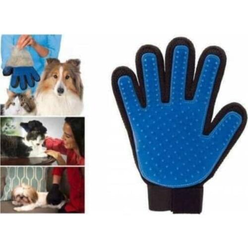 RoseRoi Pet Supplies