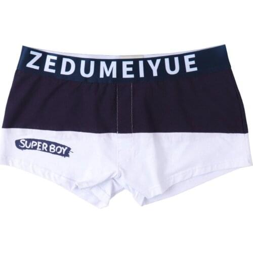 Summer Men Underwear Nylon Boxer Trunks Sexy Low Waist Swimwear Fashion Gay Male Pouch Beach Slim Surf Underwear Shorts