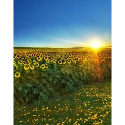 5x7ft Yellow Flowers Sunflowers Sunrise Photography Backdrops Photo Props Studio Background