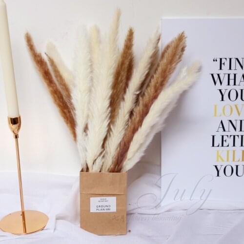 20pcs Natural Phragmites INS Style Dried Flower Plants Wedding Flower Dried Flowers Modern Home Decoration