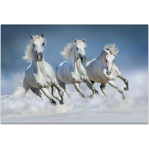 White Horses Painting Snow Running Horse Poster Sunrise Wall Art Canvas Print Farm Decoracion Wall Pictures For Living Room