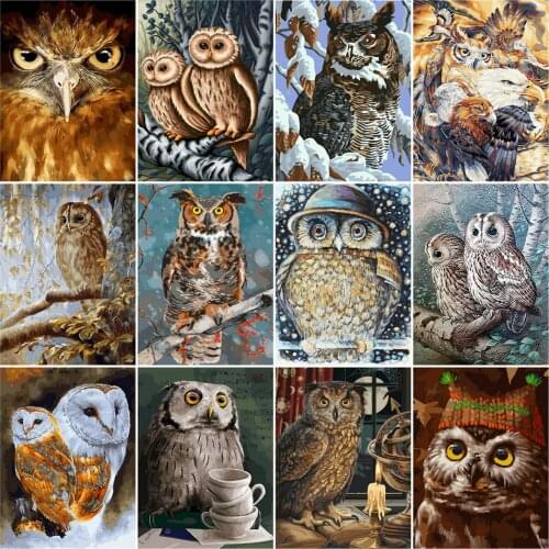 AZQSD Adult DIY Paint By Numbers On Canvas Animal Unique Gift Oil Painting By Numbers Owl Unframe Decor For Home Abstract Art