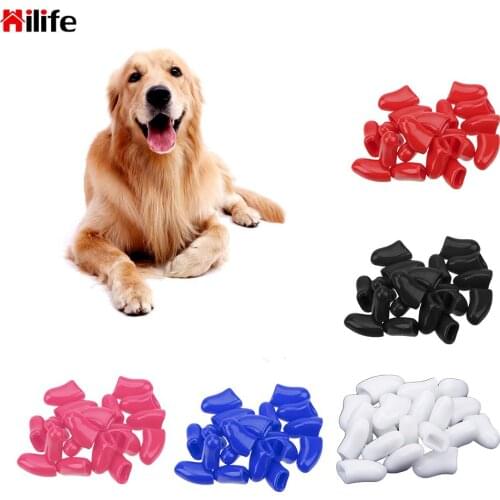 Silicone Anti-scratch Paw Nail Cover Pet Nail Caps Random Color 20Pcs/bag Cover Glue And Applicator