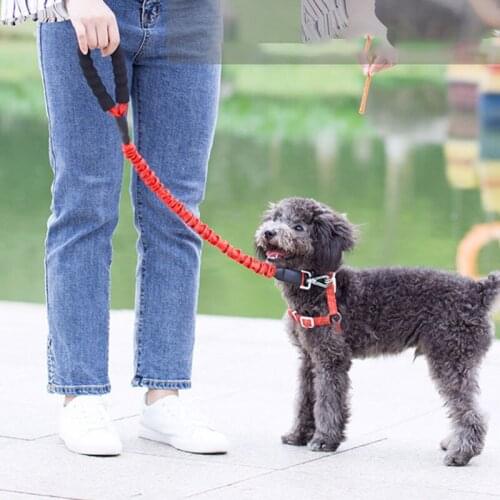 Reflective Dog Traction Rope Stretch Dog Leash Rope Nylon Walking Training Pet Belt Glow In the Dark Puppy Suppliers поводок