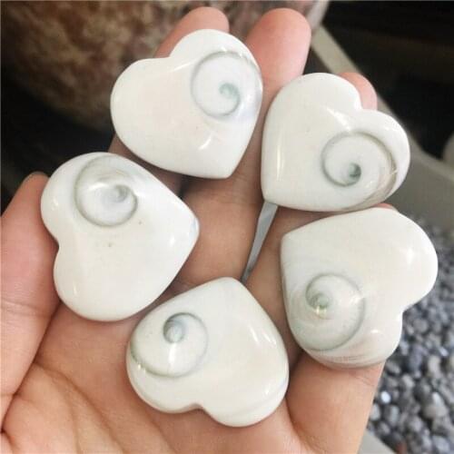 5pcs Natural Madagascar Sun Shell Crystal Heart Shape Shell Stone Snails Shape Animal Magic Health Healing Dreamlike Gift