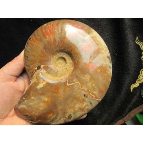 740g RAINBOW!!! TOP NATURAL Iridescent Ammonite Fossil FROM Madagascar