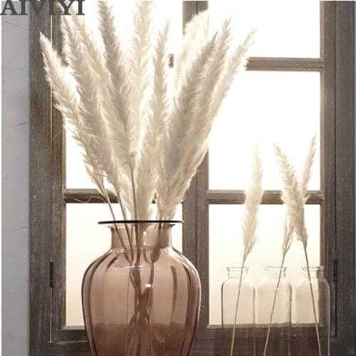 10Pcs / batch natural reed dried flower decoration holiday party supplies dried flowers colorful wedding decoration bouquet