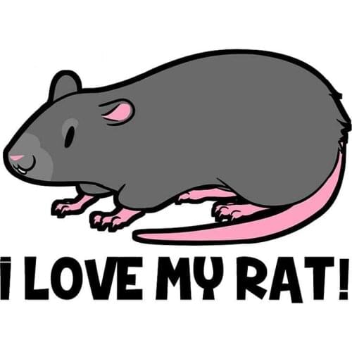 Funny 13cm X 9.6cm for I Love My Rat Fine Decal Car Styling Stickers Waterproof Fashion Occlusion Scratch Decoration