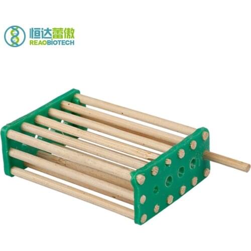 10pcs Bees Queen Cage Beekeeping Equipment and Apicultura Tools for Beekeeper Bee keeping HDQC-009