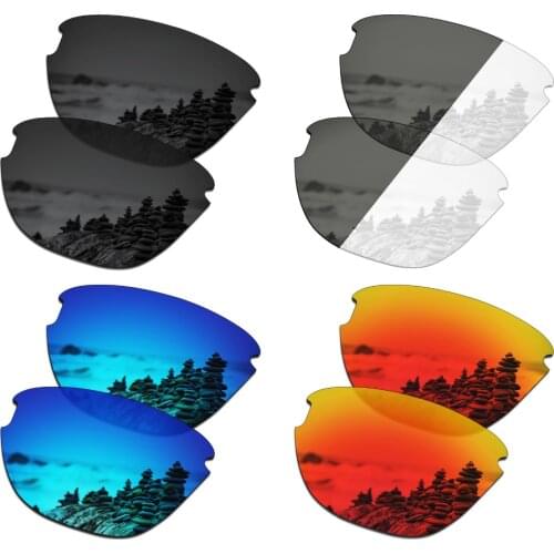 SmartVLT 4 Pairs Polarized Sunglasses Replacement Lenses for Oakley Frogskins Lite - 4 Colors