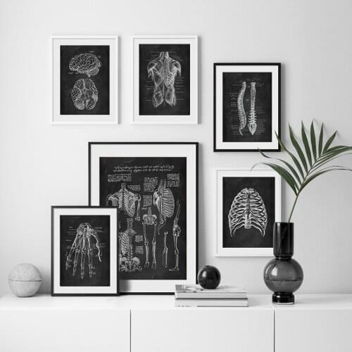 Canvas Painting Medical Clinic Wall Picture Human Anatomy Artwork Skeletal Organ Muscle System Print Body Education Poster