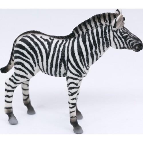 CollectA Wild Life Animals Africa Zebra Foal Little Zebra PVC Plastic Toys Model #88850