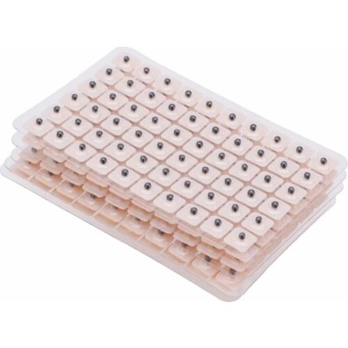 Qunzhao Beauty Accessories