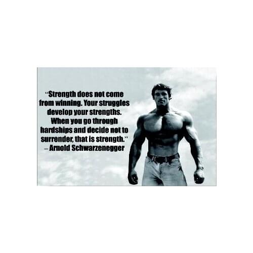 Lot style Choose Arnold Schwarzenegger Bodybuilding Fitness Workout Art print Silk poster Home Wall Decor