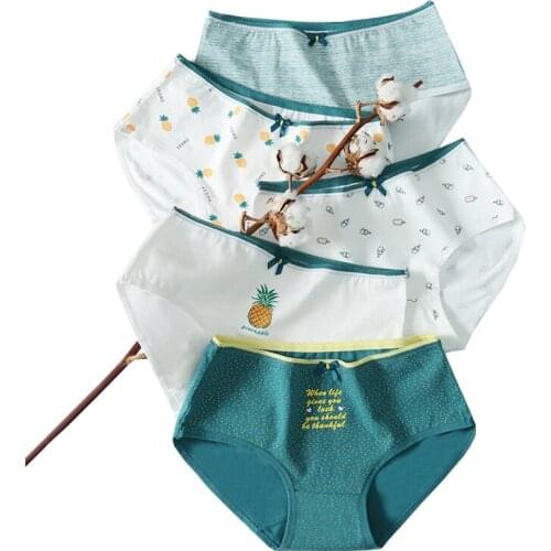 5Pcs/Set Panties for Women Soft Cotton Women Lingerie Seamless Female Briefs Breathable Fashion Cute Print Girls Underwear