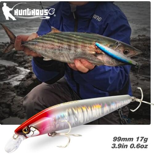Hunthouse Minnow Fishing Lure Skining 99mm 17g Lure Fishing Poweful Jerking Straight Reeling Snake Rolling For Fishing