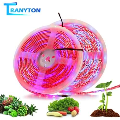 TRANYTON Plant Lamps