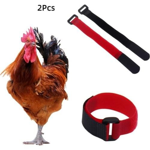 Pet supplies Chicken Collar Anti-chicken Crowing Duck Goose Rooster Collar Bird Hens Noise Neckband 2 pcs Black Upgrade Model