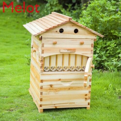 Smart automatic Wooden Beehive honey flowing Bee Hive with 7 PCS plastic beehive Frames good choice for home garden