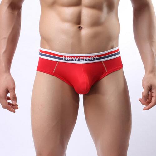Howe Ray Brand Ice Silk Mens Underwear Briefs Bulge Big Penis Pouch Men Briefs Enhance Sexy Seamless Male Panties Low Rise 2018