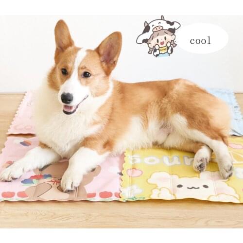 New Fashion Hot Weather Pet Ice Pad Dog Cat Summer Cooling Pad Bite Resistant Animal Sleeping Pad Gel Summer Cooling Pad