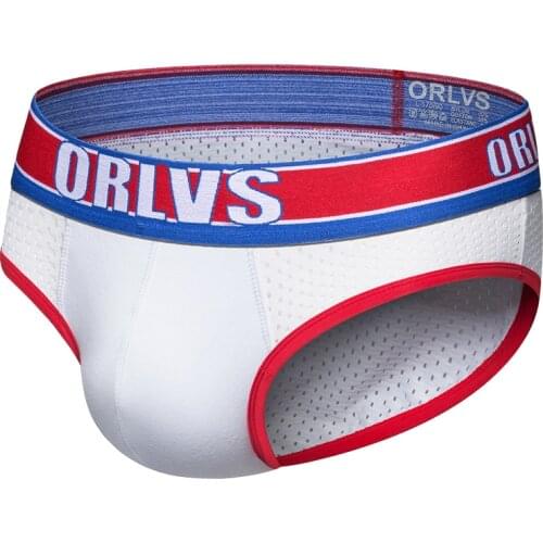 2020 ORLVS Brand Underwear Briefs Men Mesh Underpants Cueca U Pouch Male Panties Mens Briefs Ropa Interior Hombre OR789