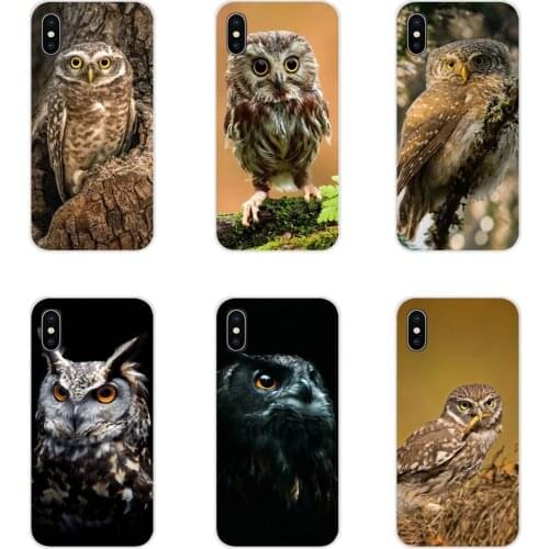 Animal Owl Eyes For Samsung Galaxy J1 J2 J3 J4 J5 J6 J7 J8 Plus 2018 Prime 2015 2016 2017 Accessories Phone Cases Covers
