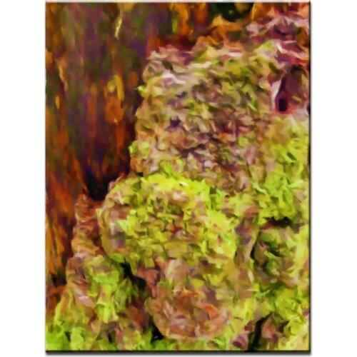 NEW 100% hand-painted canvas oil painting high quality home decor landscape pictures DM-15100710