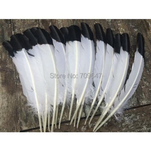 New!50Pcs/lot!10-12inches 25-30cm long,Dyed Turkey Wing Quill Feather Black Tipped Imitation Eagle Feathers for Showgirl Costume