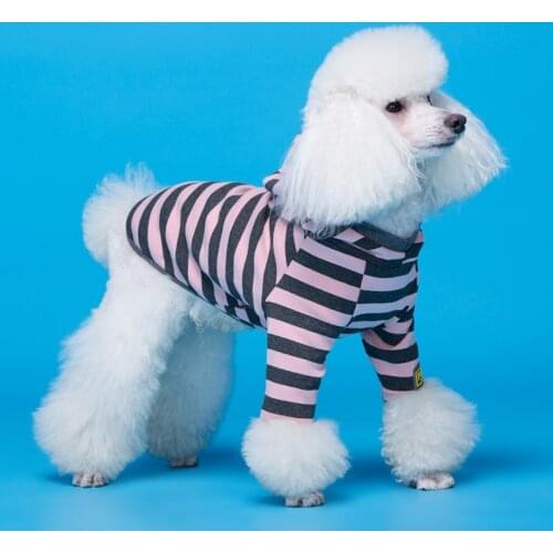 Pet Clothing 2020 Autumn and Winter New Dog Clothes Cotton Stretch Puppy Clothes Teddy Clothes Pet Clothes Pet Coats