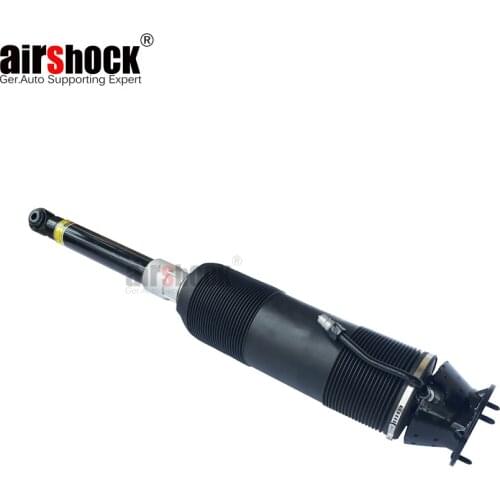 LuCIFINIL Rear Left ABC Hydraulic Shock Absorber Fit Mercedes S/CL Class W220 2203206113