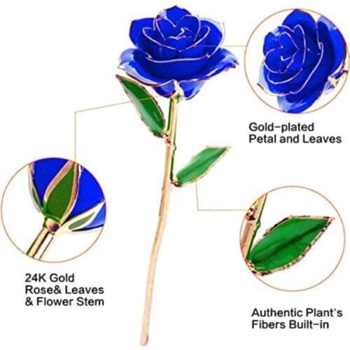 Gold Dipped Rose,24K Gold Rose with Transparent Stand,Real Long Stem Eternity Rose Flower for Mothers Day,Birthday,Valentines