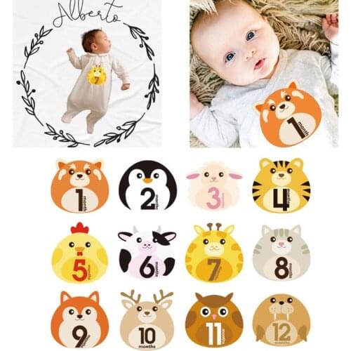 12 Pcs Animal First Year Monthly Milestone Photo Sharing Baby Belly Stickers 1-12 Months