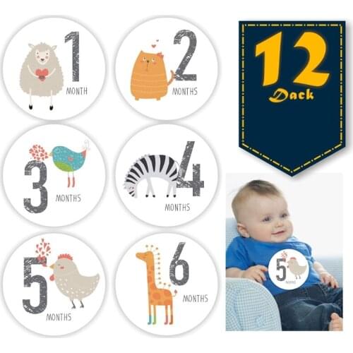 12 Pcs Baby Pregnant Monthly Stickers Memory Recording Milestone Sticker Props P31B