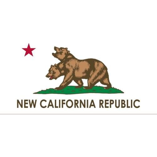 PODIUM 90x150cm New California Flag For Decoration