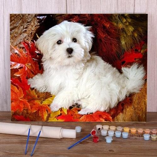 Dog Flower Animal Coloring By Numbers Painting Set Oil Paints 40*50 Picture By Numbers Photo Home Decoration Handiwork
