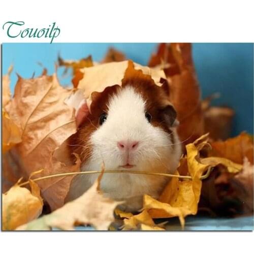 DIY Diamond Painting Animals Cute Guinea Pig Cross Embroidery Stitch Kits Square Drill Full Rhinestone Patchwork for Needlework