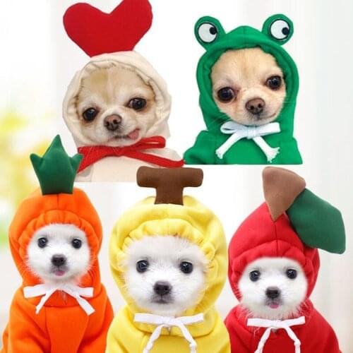 Pet Dog Jacket Hoddies Fruite Cosplay Cloth Dog Hoddie Cat Clothes Chihuahua Teddy Outfit Vest Soft Dog Clothes Warm Pet Fashion