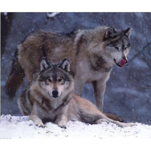 Wholesale Needlework Mosaic Diamond Painting Two Wolf Pictures Kits Diamond Embroidery Full Square/round Drill Sale