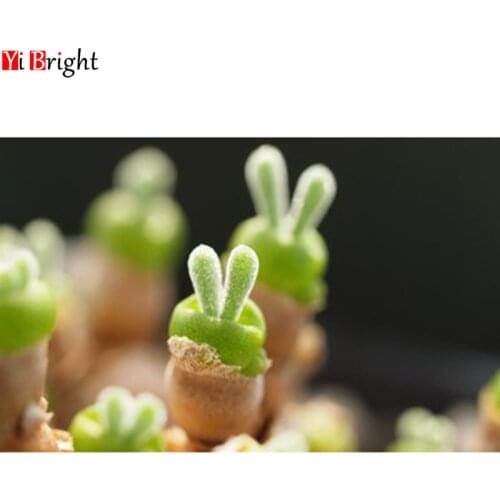 Full Square&Round Drill 5D DIY Diamond Painting Sprout cross stitch crystal diamond LK1